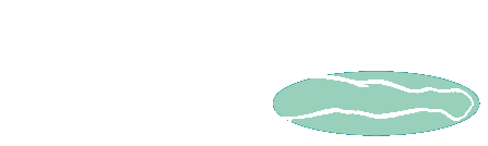 koerperzonen_bein