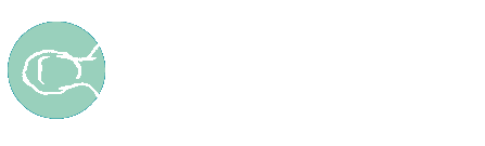 koerperzonen_kopf