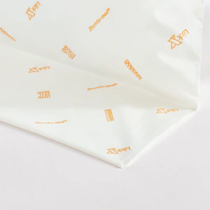 Kissen_Rhombo-med_Rueckenkissen-mit-Fahne_3